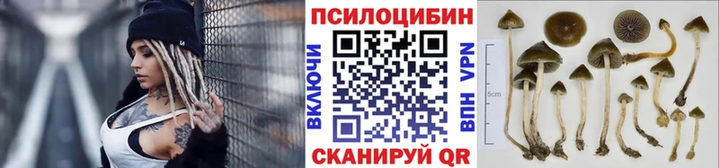 как найти закладки  Сорочинск  OMG маркетплейс  Галлюциногенные грибы Magic Shrooms 
