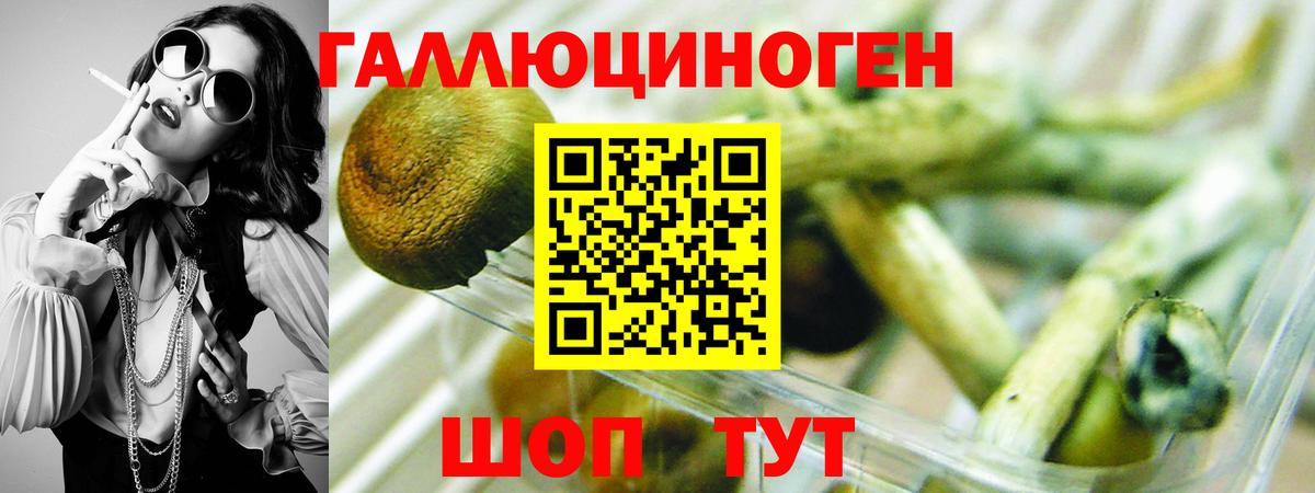 Галлюциногенные грибы Cubensis  наркошоп  Сорочинск  Галлюциногенные грибы Magic Shrooms  Вход с VPN 